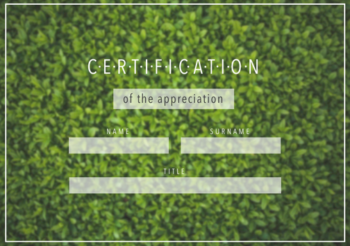 Certificate 016
