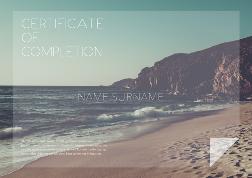 Certificate 011