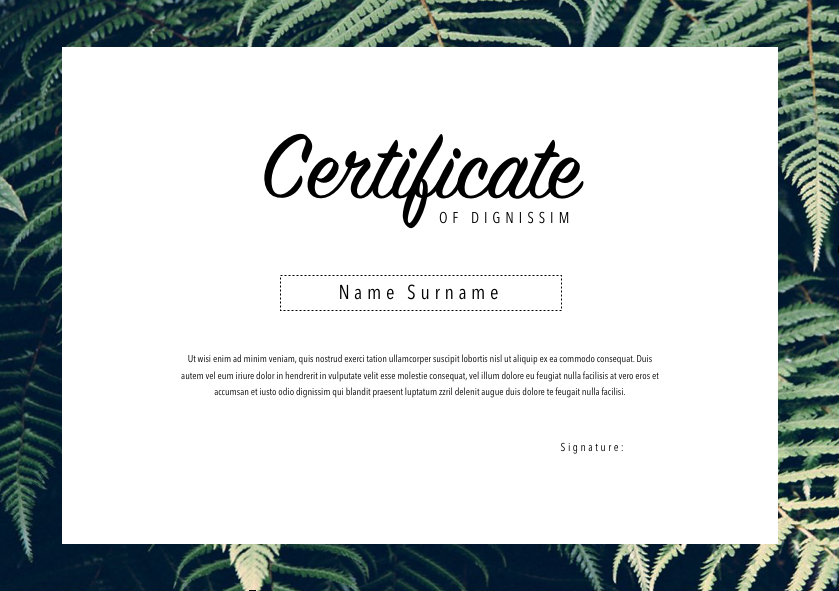 Certificate 026