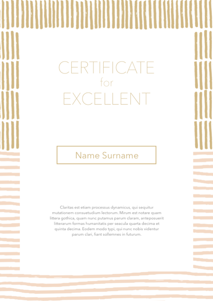 Certificate 028