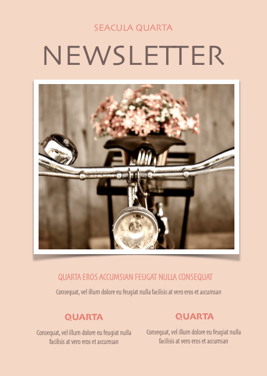 Newsletter 033